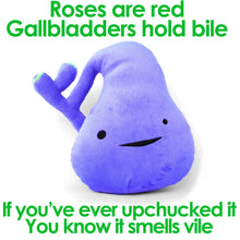 Load image into Gallery viewer, Gallbladder Plush - You&#39;ve Got Gall
