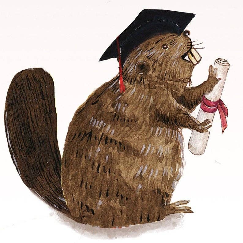 Beaver Dam Grad - Funny Graduation Card