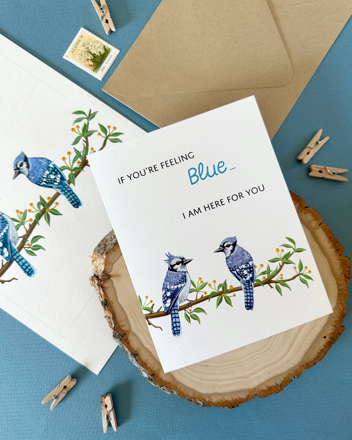 Blue Jay Bird Sympathy Card