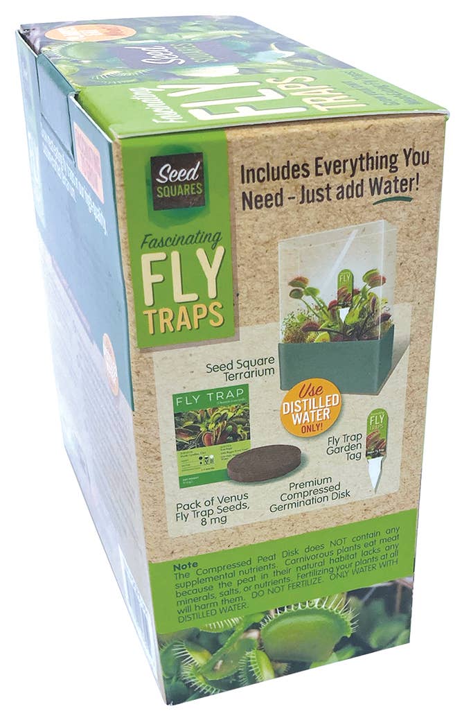 Fascinating Flytraps Seed Square Terrarium