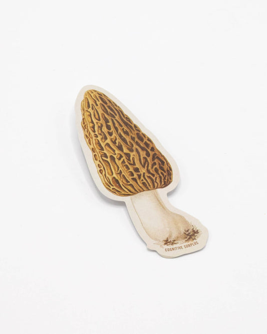 Morel Mushroom