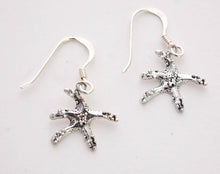 Load image into Gallery viewer, Starfish Earrings - Sterling Silver Natural History
