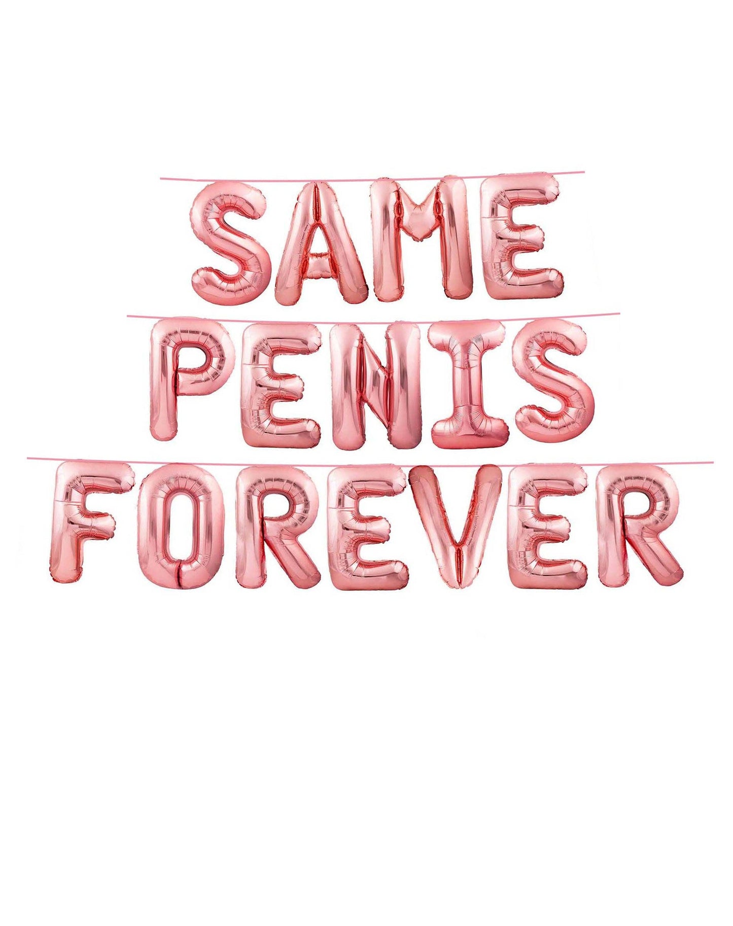 Glitterati Same Penis Forever Balloon Banner