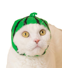 Load image into Gallery viewer, Kitan Club Cat Cap Blind Box - Fruit
