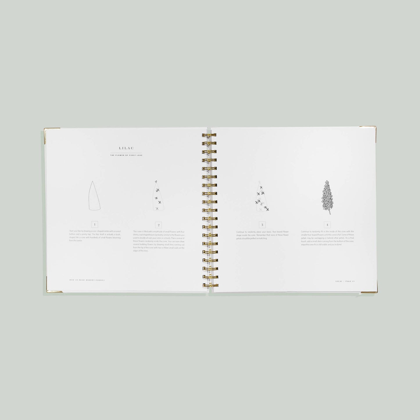 How to Draw Modern Florals: Spiral