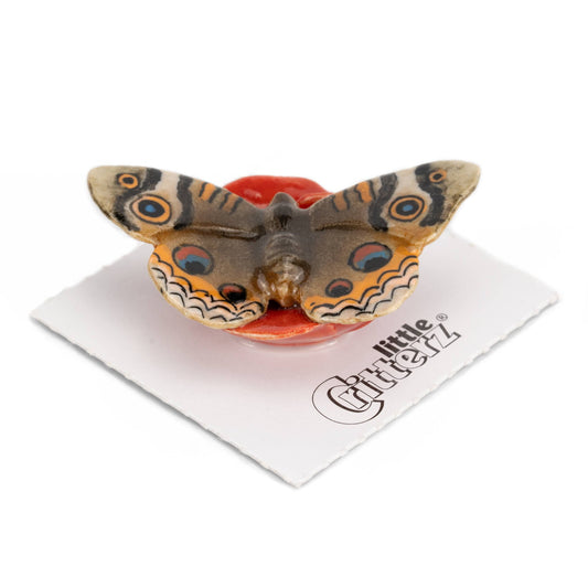 Junonia Buckeye Butterfly Porcelain Miniature
