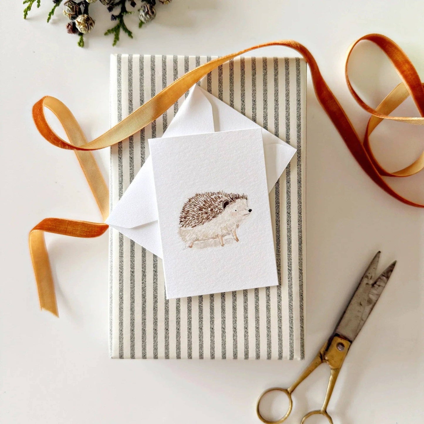 Hedgehog mini enclosure notecard