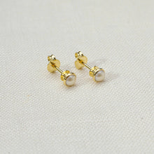 Load image into Gallery viewer, 18k Gold Filled 4mm Simulated Pearl Stud Earrings
