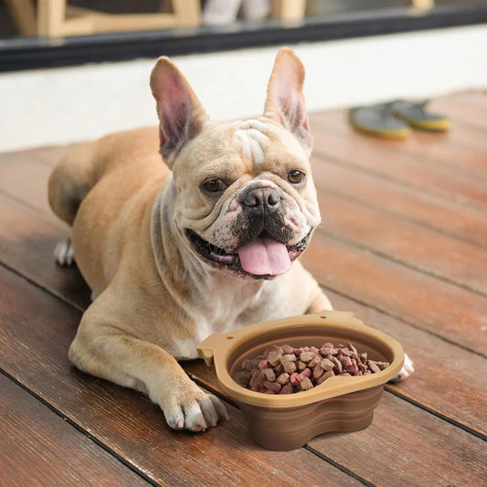 Fred Collapsible Dog Bowl - Snout Out