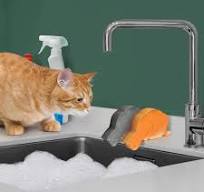 Kitchen Kittens - Sponges