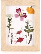 Huckleberry Pressed Flower Frame