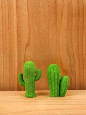 Cactus Eraser Set of 2