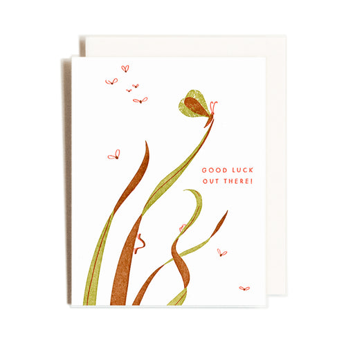 Good Luck Bug Card - Front & Company: Gift Store