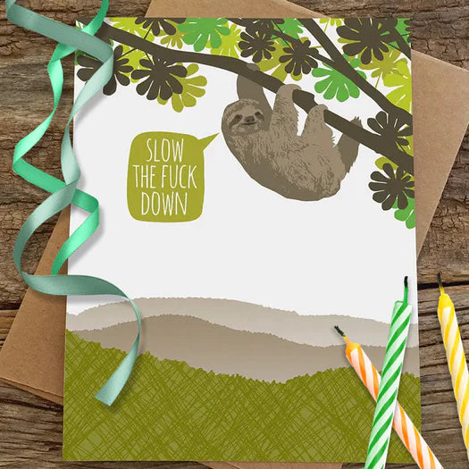 Sloth Slow Down Bday