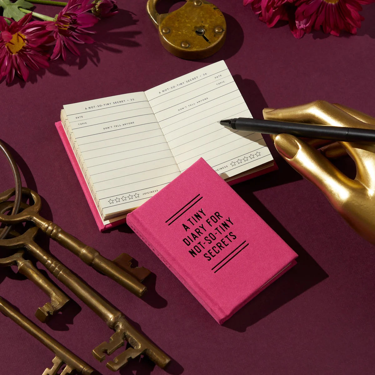 Tiny Diary for Not S