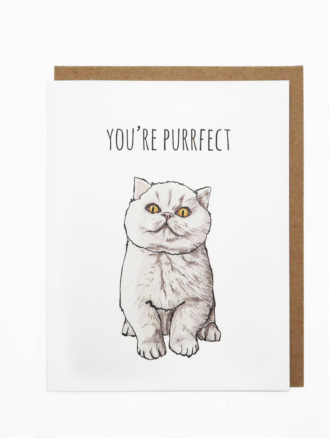 You're Purrfect