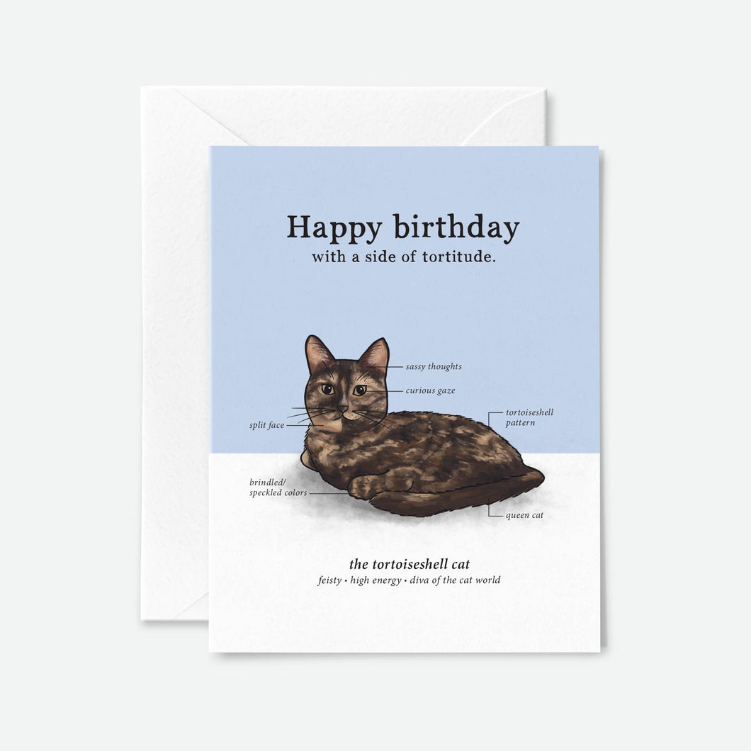 Tortoiseshell Cat Birthday Card