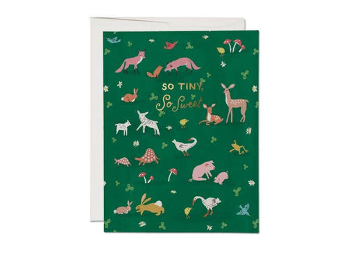 Tiny Animals baby greeting card - Front & Company: Gift Store