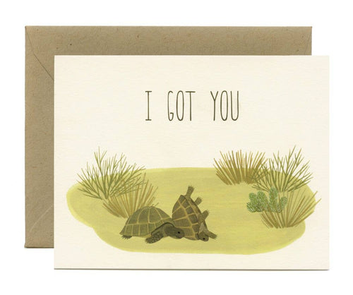 Box Turtles Tortoise Encouragement Card - Front & Company: Gift Store