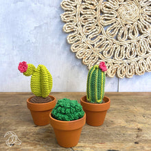 Load image into Gallery viewer, DIY Crochet Kit - Cacti
