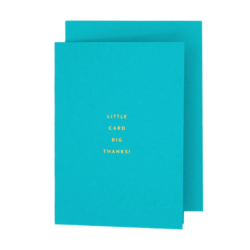 Little Card Big Thanks Petite Thank You Card - Front & Company: Gift Store