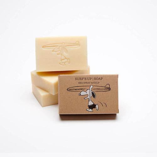Peanuts Surf's Up Soap - Front & Company: Gift Store