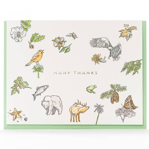 Many Thanks Flora & Fauna Card - Front & Company: Gift Store