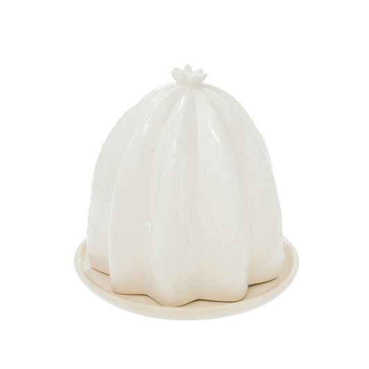 Cactus Butter Dish Wht