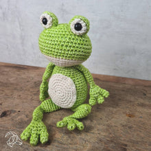Load image into Gallery viewer, DIY Crochet Kit - Vinny Frog
