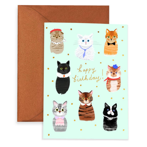 PARTY CATS  - Birthday Card - Front & Company: Gift Store
