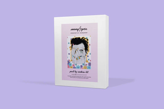 HS Paint By Numbers Kit
