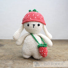Load image into Gallery viewer, DIY Crochet Kit - Ilse Rabbit
