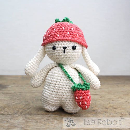 DIY Crochet Kit - Ilse Rabbit - Front & Company: Gift Store