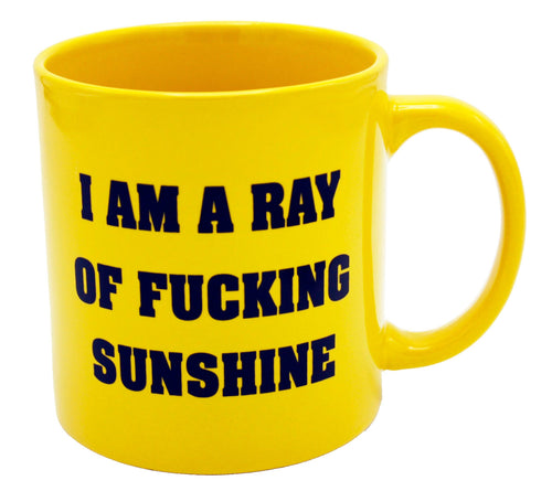 Giant Ray Of Fucking Sunshine Mug - Front & Company: Gift Store