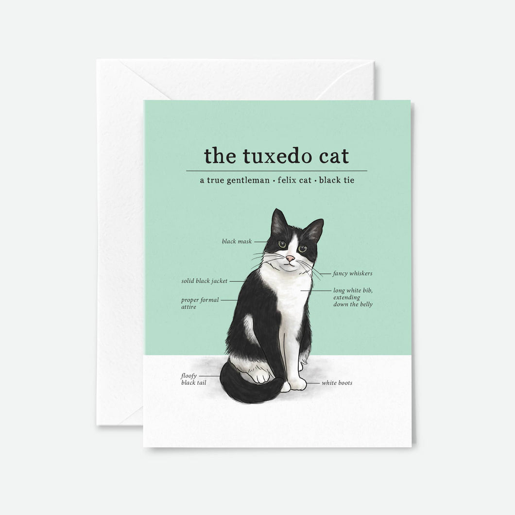 Tuxedo Cat Everyday Card