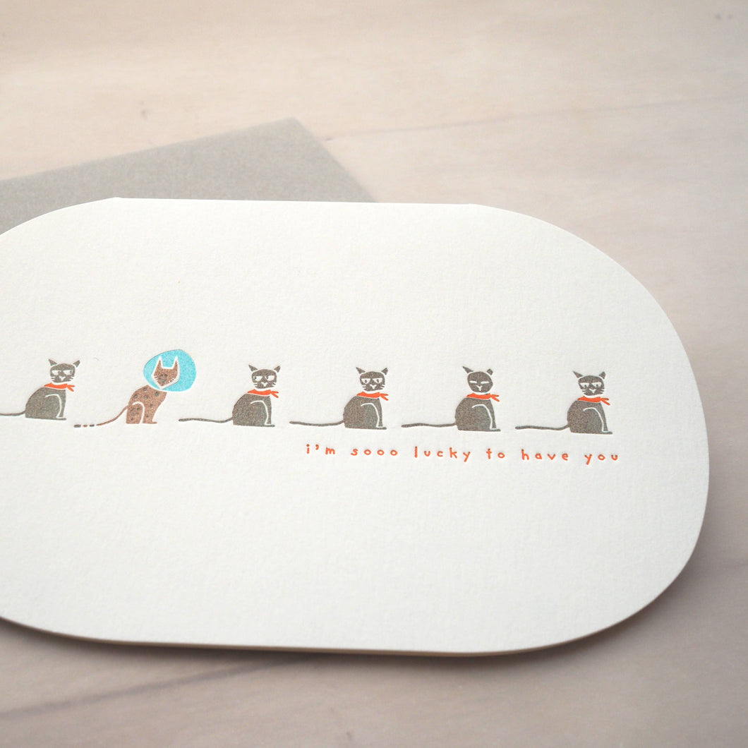 letterpress happy paws card - I'm so lucky to have you