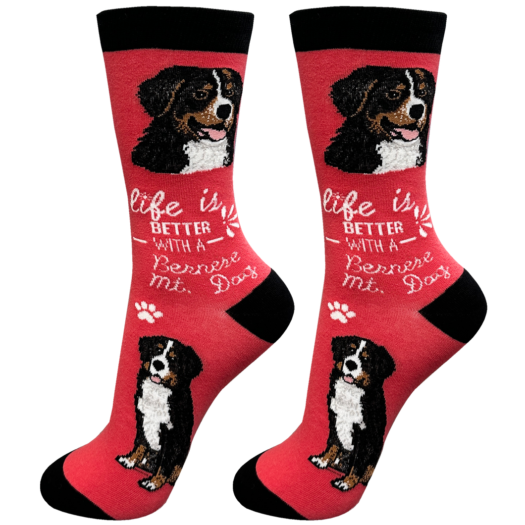 Bernese Mt. Dog Socks - Cute Novelty Crew Socks - Unisex
