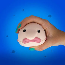 Load image into Gallery viewer, Blob Fish Stress Toy
