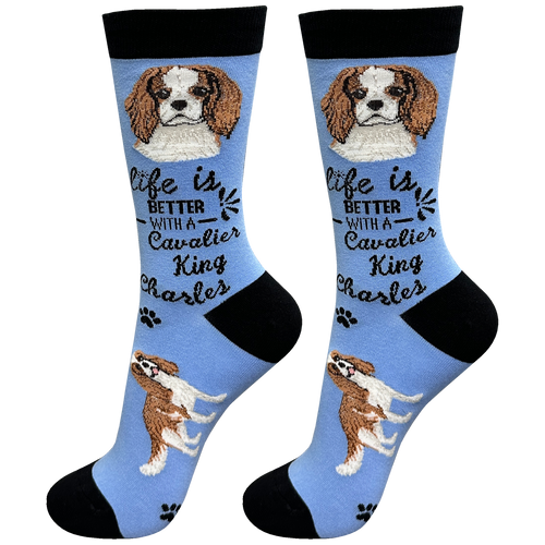 Cavalier King Charles Dog Socks -Cute Novelty Socks -Unisex - Front & Company: Gift Store
