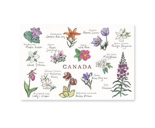 Canadian Floral Emblems Postcard - Front & Company: Gift Store